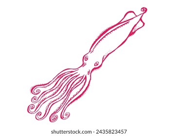 Dibujo garabato de un calamar en rosa