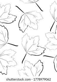 Imagen de estilo de dibujo Doodle de fondo transparente de hoja de arce en blanco y negro, ilustración vectorial