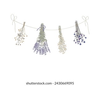 Doodle dried grass bunches of hanging herbs on rope. Herbarium, witchcraft ingredients, aromatherapy cartoon clipart Vector illustration isolated on white background.