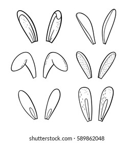 bunny ears drawing guide  Bunny drawing, How to draw ears, Bunny ear