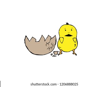 doodle egg a chicken color