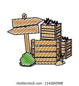 doodle eggplants vegetables inside wood boxes and emblem notices