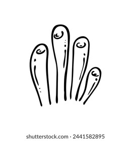 Doodle element of sea life. Vector single sea coral on isolated background.