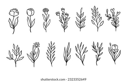 Doodle elements branch and flowers set. Outline black color vector art illustration. Clip art isolated on white background.