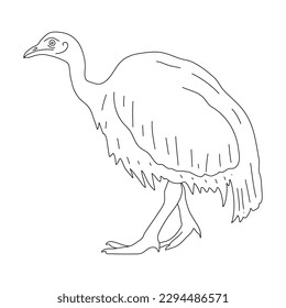 Doodle of Emu. Hand drawn vector illustration.