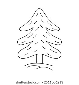 Doodle Ilustración vectorial de pino de planta perenne. Género de árboles de hoja perenne de coníferas. Acero en estilo, arte de línea, contorno.