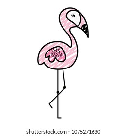 doodle exotic flamingo nature bird animal