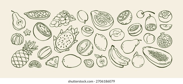 Rabiscar frutas exóticas. Comida tropical diferente: laranjas frescas, limões, maçãs e bananas. Ananás orgânico, bagas naturais e uva. Ilustrações isoladas de vetor desenhadas à mão sobre fundo branco