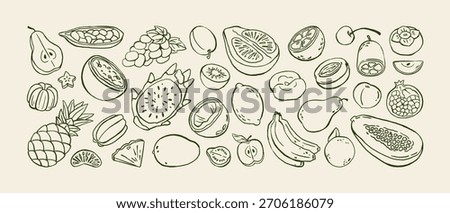Doodle exotic fruit. Different tropical food: fresh oranges, lemons, apples and bananas. Organic pineapple, natural berries and grape. Hand drawn isolated vector illustrations on white background