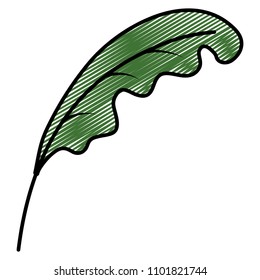 doodle exotic leaf style botanic plant