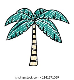 doodle exotic palm with tropical tree leaves