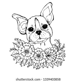 Doodle a face of a cute bulldog in the colors black outline