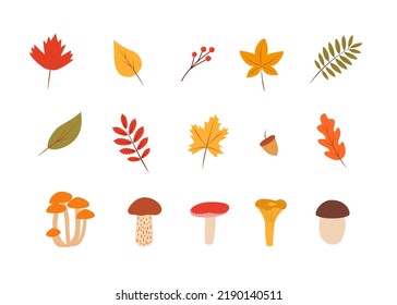 Doodle fall color set of tree leaves and mushrooms, autumn concept, vector illustration