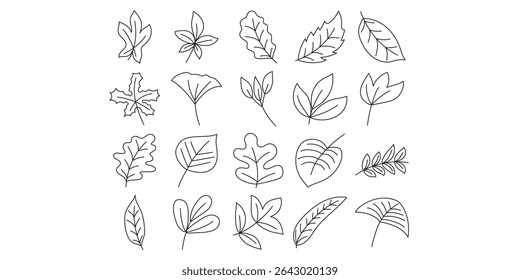 Doodle Fall Leaves Line Decoration Set
