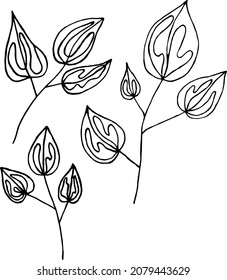 Doodle fancy plants. Botanical illustration, patterned leaves. Print for T-shirts, background for postcards.