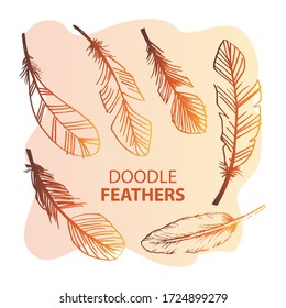 Doodle feather set. Hand drawing illustration. 