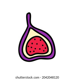 Ilustración de la fruta de Doodle Fig. Sencillo dibujo para un libro de recetas.