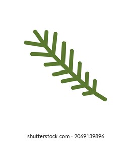 Doodle fir branch. Vector illustration of green spruce twig. Clipart.