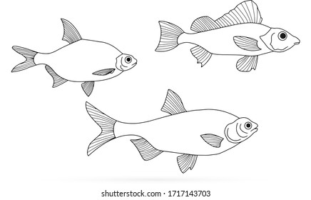 Doodle fish icon isolated on white. Seafood, logo. Hand drawing art line. Coloring page book. Sketch vector stock illustration