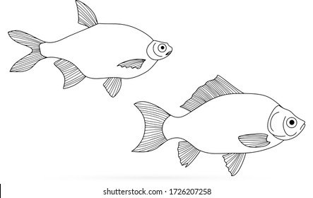 Doodle fish icon isolated on white. Seafood, logo. Hand drawing art line. Coloring page book. Sketch vector stock illustration