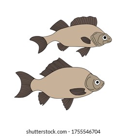 Doodle-Fisch-Symbol einzeln auf Weiß. Meeresfrüchte, Logo. Handzeichnung Kunstlinie. Skizze, Vektorgrafik. EPS10