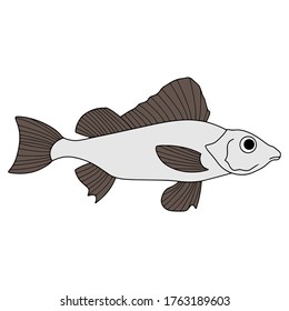 Doodle fish icon isolated on white. Seafood, logo. Hand drawing art line. Sketch vector stock illustration. EPS 10