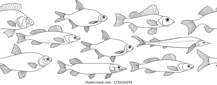 Doodle fish seamless border isolated on white. Seafood hand drawing art line. Coloring page book. Vector stock illustration