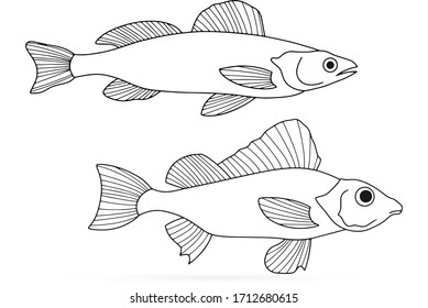 Doodle fish set icon isolated on white. Seafood symbol. Logo template. Hand drawing art line. Symbol of fishing club or online shop. Restaurant menu. Coloring vector stock illustration