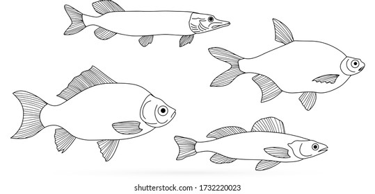 Doodle fish set isolated on white. Outline pike etc icon. Seafood, logo. Hand drawing art line. Coloring page book. Sketch vector stock illustration