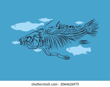 doodle and fishbone structure vector