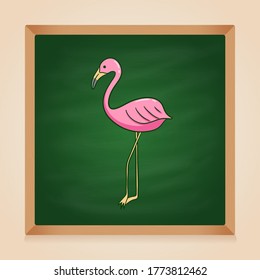 doodle flamingo illustration on green chalkboard background