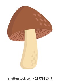 Doodle flat clipart. Edible brown mushroom. All objects are repainted.