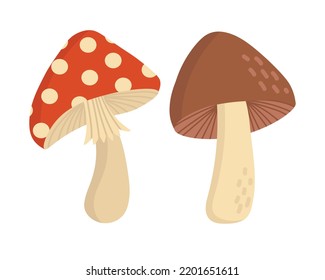 Doodle flat clipart. Edible brown mushroom. All objects are repainted.