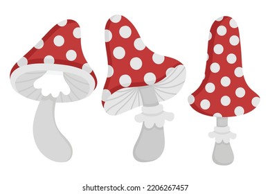 Doodle flat clipart. Magic fly agaric for potion for halloween decoration. All objects are repainted.