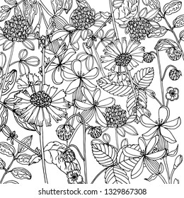Doodle floral background in vector with doodles black and white coloring page