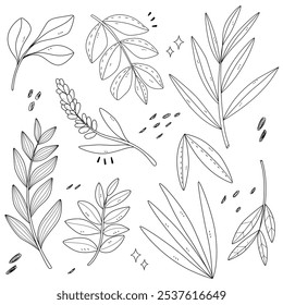 Doodle Floral e Branches Set. Folhas decorativas Linha Arte Ilustração para Convite e Cartão-postal Design