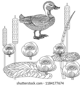 Doodle floral and duck drawing. Art therapy coloring page.