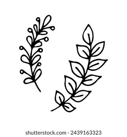 Doodle elementos florales. Ilustración abstracta dibujada a mano de la rama del vector en el fondo blanco para el diseño, el logotipo, el tatuaje, la tarjeta y la invitación