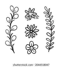 Elementos florales de garabato. Ramas y hojas de vectores dibujadas a mano. Ilustraciones botánicas vintage.