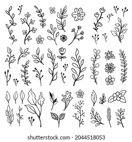 Doodle floral elements. Hand drawn vector branches and leaves. Vintage botanical illustrations.
