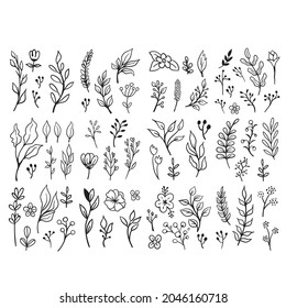 Doodle floral elements. Hand drawn vector branches and leaves. Vintage botanical illustrations.