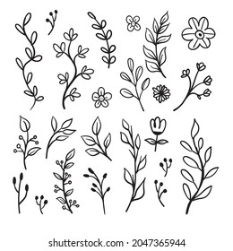 Doodle floral elements. Hand drawn vector branches and leaves. Vintage botanical illustrations.