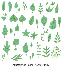 Doodle floral elements set. Hand drawn green leaves. Vector decoration for greeting card, invitation design, spring and summer ads