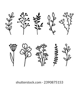 Doodle floral graphic elements. Hand drawn vector botanical flowers,  plants and branches illustrations.