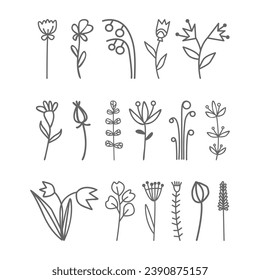 Doodle floral graphic elements. Hand drawn vector botanical flowers,  plants and branches illustrations.