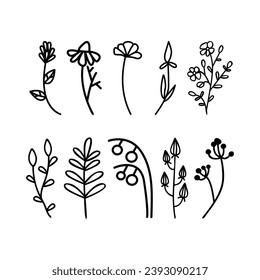 Doodle floral graphic elements. Hand drawn vector botanical flowers,  plants and branches illustrations.
