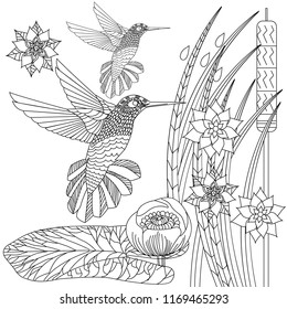 Doodle floral and hummingbird drawing. Art therapy coloring page.