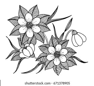 Doodle floral pattern in black and white. Page for coloring book: very interesting and relaxing job for children and adults. Zentangle drawing. Flower carpet in magic garden
