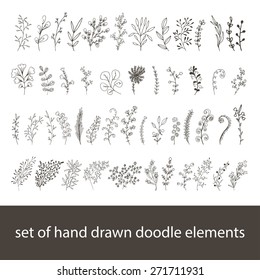 doodle floral plant vector hand drawn element