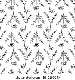 Doodle floral vector pattern. Medical herbs seamless pattern